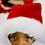 A boy clad in a Santa Claus hat looks on during a Christmas party in Miami.